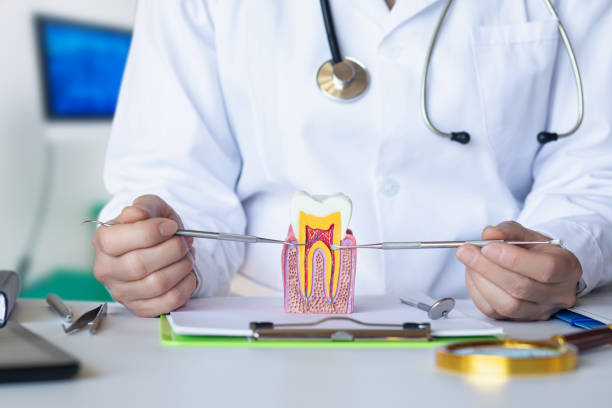 Best Emergency Root Canal Treatment in Estill Springs, TN